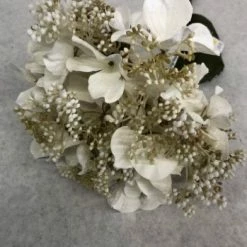 Something Blue DECOR Ashland Hydrangea Floral Ivory Size 26" FLORAL