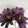 Something Blue Hobby Lobby Daisy Floral Plum Size 2ct FLORAL DECOR