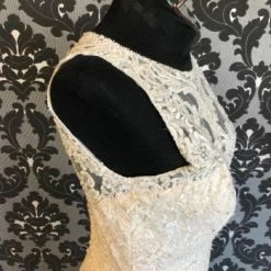 Something Blue Hitched Women's Sheath Wedding Dress Lace/Sequin Ivory Size 12 Highneck WEDDING DRESSES 9 Something Blue Hitched Women's Sheath Wedding Dress Lace/Sequin Ivory Size 12 Highneck WEDDING DRESSES