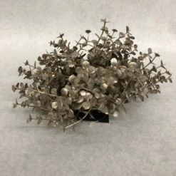 Something Blue DECOR Boxwood Eucalyptus Champagne Size 8.5" FLORAL