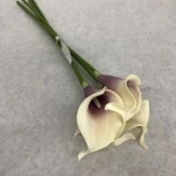 Something Blue Lily Floral Purple/Ivory Size 4ct FLORAL