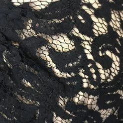 Size 12 Black/Nude Lace Adrianna Papell FORMAL/MOTHER'S DRESSES