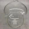Something Blue Terrarium Glass Clear Size 5.5" FLORAL