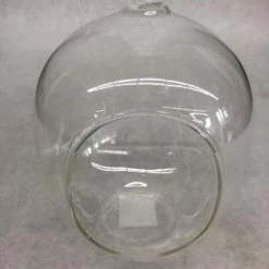 Something Blue Terrarium Glass Clear Size 5.5" FLORAL