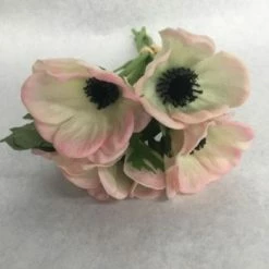 Something Blue Sullivan's Floral Blush Size 5ct Anemone THE PARLOUR