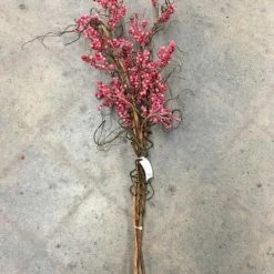 Something Blue Wedding DECOR Winter Berry Plastic Red/Brown Size 3 Ct