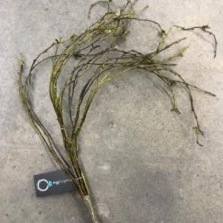 Something Blue Branch Floral Dark Green Size 28" FLORAL DECOR