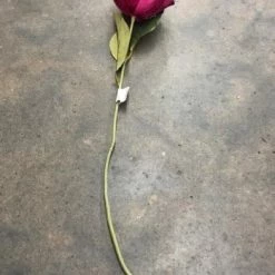 Something Blue Magnolia Floral Fuchsia Size 27" FLORAL