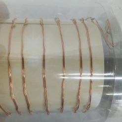 Something Blue Apothecary & Co. Lights LED Warm White Size 10' LIGHTS DECOR