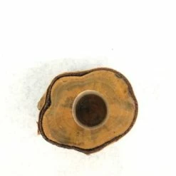 Something Blue Tea Light Holder Birch Birch Size Approx 2.5"-5.5" WOOD DECOR