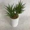 Something Blue THE PARLOUR Sullivan's 7" Mini Potted Plant Spike 02237PT