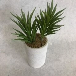 Something Blue THE PARLOUR Sullivan's 7" Mini Potted Plant Spike 02237PT