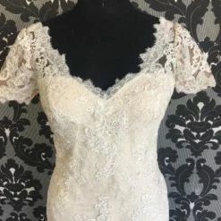 Something Blue Wedding Pronovias Wedding Dress Lace Ivory & Blush Size 8 NEW ARRIVALS