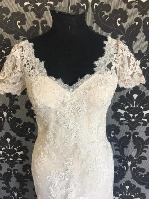 Something Blue Wedding Pronovias Wedding Dress Lace Ivory & Blush Size 8 NEW ARRIVALS 4 Something Blue Wedding Pronovias Wedding Dress Lace Ivory & Blush Size 8 NEW ARRIVALS