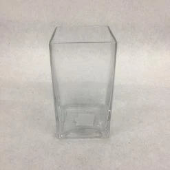 Something Blue DECOR Vase Glass Clear Size 6"x3"x3" Square VASES