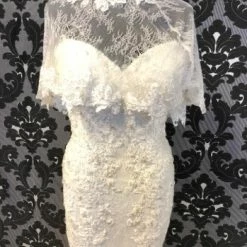 Something Blue WEDDING DRESSES Justin AlexanderJENNA 8920 Women's Wedding Dress Lace Ivory Size 14 W/ Shawl