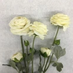 Something Blue Wedding Hobby Lobby Ranunculus Flowers Ivory Size 3ct FLORAL DECOR
