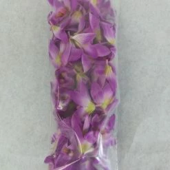 Something Blue 50ct Purple/White/Pink Orchid Head DECOR