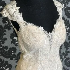 Something Blue Stella York 6245 STACIE Women's Wedding Dress Lace Ivory/Champagne WEDDING DRESSES