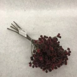 Something Blue DECOR Gypsophila Floral Burgundy Size 5ct FLORAL