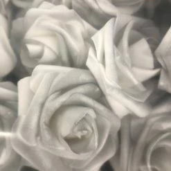 Something Blue Floral Size 25ct Foam Silver/white FLORAL