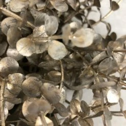 Something Blue DECOR Boxwood Eucalyptus Champagne Size 8.5" FLORAL