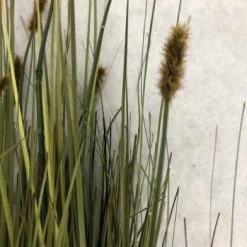 Something Blue Hobby Lobby Grass Floral Green/Brown Size 26" FLORAL DECOR