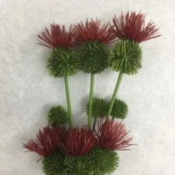 Something Blue Wedding Hobby Lobby Thistle Flowers Green/Burgundy Size 3ct FLORAL