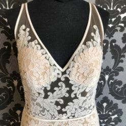 Something Blue Willowby Wedding Dress Lace Ivory/Nude Size 12 Sleeveless Sheath WEDDING DRESSES 6 Something Blue Willowby Wedding Dress Lace Ivory/Nude Size 12 Sleeveless Sheath WEDDING DRESSES