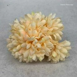 Something Blue Floral Garden Chrysanthemum Floral Peach Size 3ct FLORAL DECOR