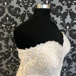 Something Blue WEDDING DRESSES Essense Of Australia D2556CRLU Women's Wedding Dress Lace 9 Something Blue WEDDING DRESSES Essense Of Australia D2556CRLU Women's Wedding Dress Lace