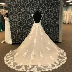 Something Blue Eddy K EK1229 Wedding Dress Tulle/Lace Champagne/Ivory Size 14 WEDDING DRESSES