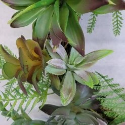 Something Blue Wreath Wood/Succulent Brown/Green Size 15