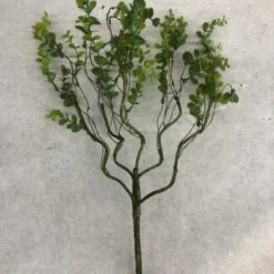Something Blue Sullivan's Greenery 17" Branch 23001BH