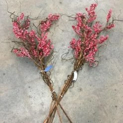 Something Blue Wedding DECOR Winter Berry Plastic Red/Brown Size 3 Ct