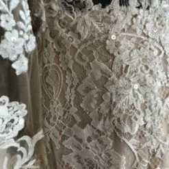 Something Blue Madeline Gardner Wedding Dress Lace/Sequin Champagne/Ivory WEDDING DRESSES