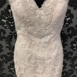 Something Blue Stella York 6220 SPENCER Women's Wedding Dress Lace Ivory/Champagne WEDDING DRESSES 8 Something Blue Stella York 6220 SPENCER Women's Wedding Dress Lace Ivory/Champagne WEDDING DRESSES