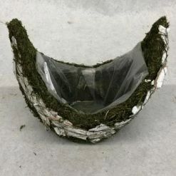 Something Blue Planter Moss Green/white Size 8"x7"x6" FLORAL