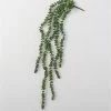 Something Blue Sullivan's 02578S Hanging Succulent Spray 4"x39"