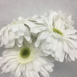 Something Blue Wedding DECOR Ashland Daisy Floral White Size 5ct FLORAL