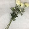 Something Blue Wedding Hobby Lobby Ranunculus Flowers Ivory Size 3ct FLORAL DECOR