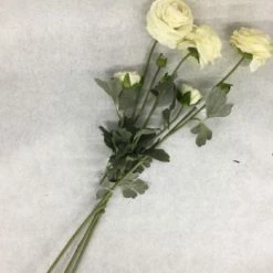 Something Blue Wedding Hobby Lobby Ranunculus Flowers Ivory Size 3ct FLORAL DECOR