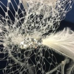 Something Blue Wedding Women's Veil Feather Ivory Cage VEILS