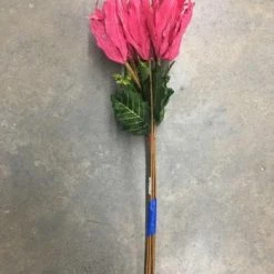 Something Blue Wedding Poinsettias Glitter Magenta Size 6ct FLORAL