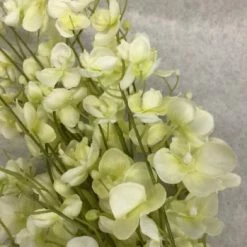 Something Blue Floral Floral Ivory/Green Size 28