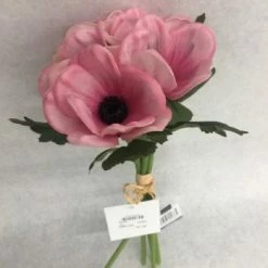Something Blue Sullivan's Floral Pink Size 5ct Anemone THE PARLOUR