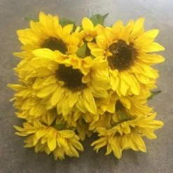 Something Blue Wedding Ashland Sunflower Floral Yellow/Brown/Green Size 3ct FLORAL DECOR