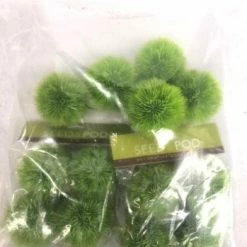 Something Blue Seed & Pod Allium Ball Floral Green Size 13ct FLORAL DECOR
