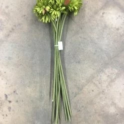 Ashland DECOR 10 Ct 24" Green Gerber Daisy