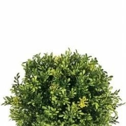 Something Blue Sullivan's 01938ORB 7.5" Tea Leaf Grass Half Orb